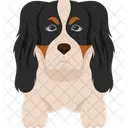 Cavalier King Charles Spaniels Dog Animal Icône