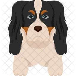 Cavalier king charles spaniels  Icon