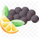 Caviar Food Fish Icon