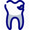 Dentist Colored Icon Icon