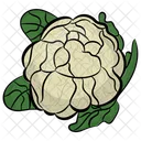 Cavolfiore Broccoli Cavoli Icon