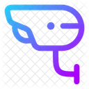 Cctv-camera  Icon