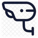 Cctv Camera  Icon