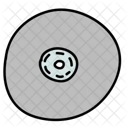 Cd  Icon