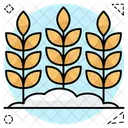 Cebada  Icono