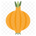 Cebolla Verdura Veggie Icono