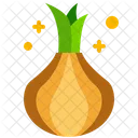 Cebolla  Icono