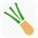 Cebolla verde  Icono