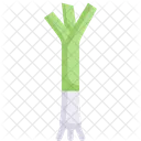 Verduras Fibra Alimentos Icono