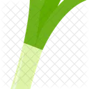 Primavera Cebolla Naturaleza Icono