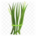 Cebollino Hierbas Especias Icono