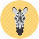 Cebra Africa Animal Icono