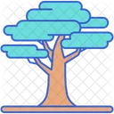 Cedar Tree Nature Icon