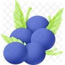 Berry Fruit Food Icon