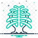 Cedar Leaf Arborvitae Icône