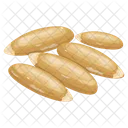 Cedar Nuts  Icône