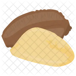Cedar Nuts  Icon
