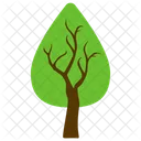 Cedar Tree Pine Icon