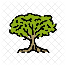 Ceiba  Icon