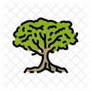 Ceiba Jungle Amazon Icono