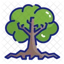 Ceiba tree  Icon