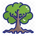 Ceiba Tree Puerto Rico Caribbean Archipelago Icono