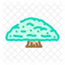 Ceiba Jungle Amazon Icono