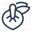 Ceibo  Icon