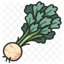 Celeriac Vegetable Healthy Icon