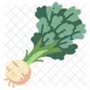 Celeriac Vegetable Healthy Icon