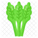 Celery Food Natural Icon