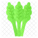 Celery Food Natural Icon