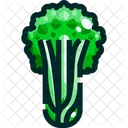 Celery Vegetable Organic Icon