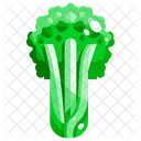 Celery Vegetable Organic Icon