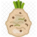 Celery Vegetable Food Icon