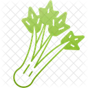 Celery Gastronomy Nutrition Icon