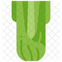 Celery Vegetable Stalk Icon