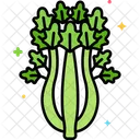 Celery  Icon
