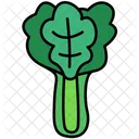 Celery Celery Root Root Icon