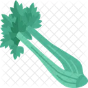 Celery  Icon