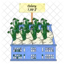 Celery Vegetable Vegetable Basket Icon