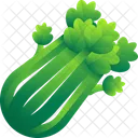 Celery Vegetable Food Icon