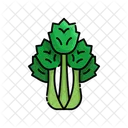 Celery Vegetable Food Icon