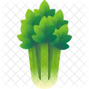 Celery Vegetable Food Icon