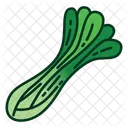 Celery Vegetable Fresh Icon
