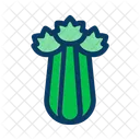 Celery Food Vegetable Icon