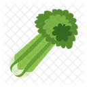 Celery Vegetable Food Icon