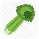 Vegetable Food Healthy Icon