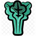 Celery Vegetable Vegetarian Icon
