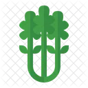 Celery  Icon